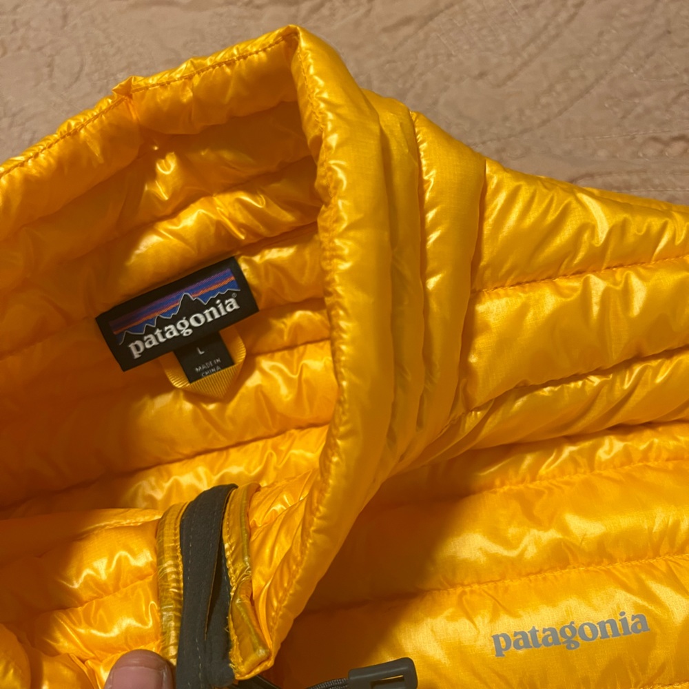 Mens Patagonia Vest